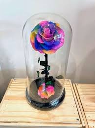 Rainbow Rose Dome
