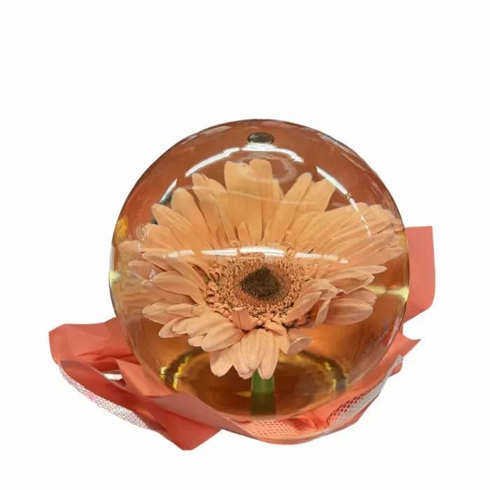 Gerber Daisy Flower Globe