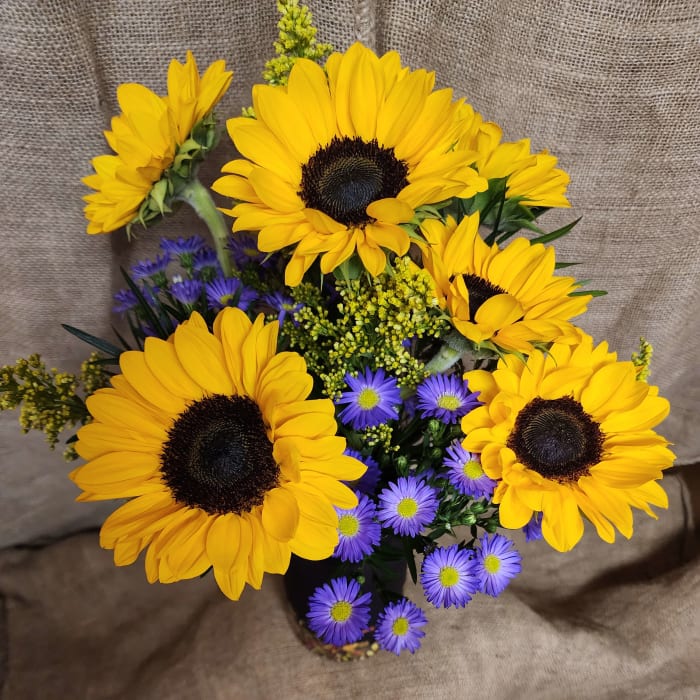 Sunflower Field