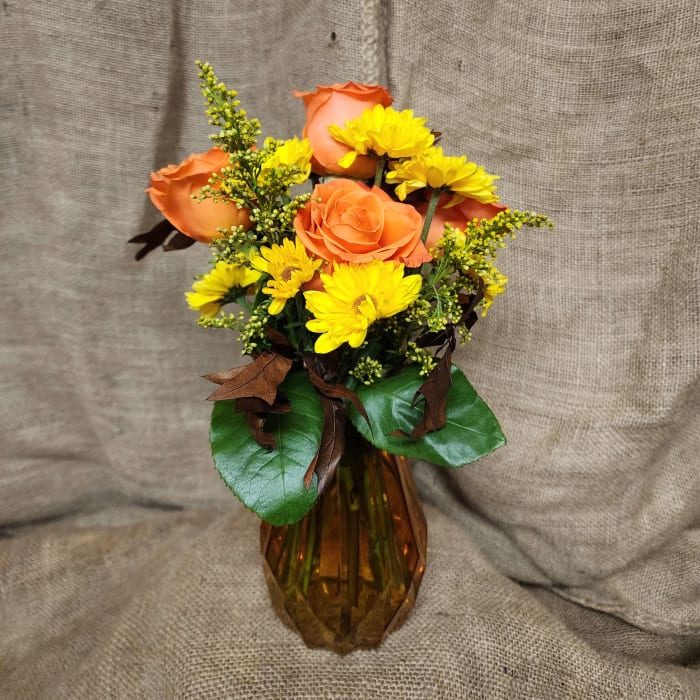 Orange Delight