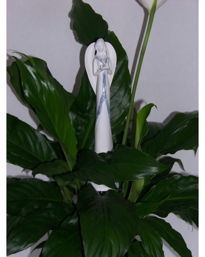 PEACE LILY ANGEL