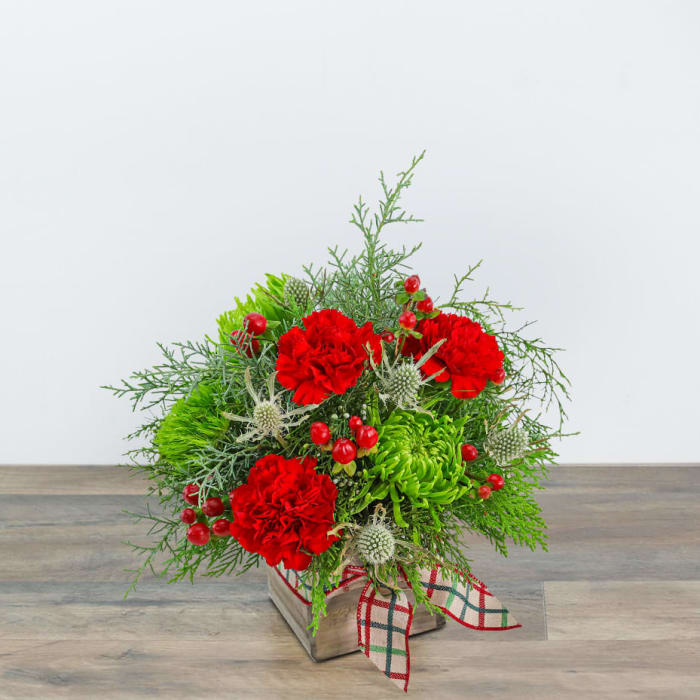 Plaid Tidings