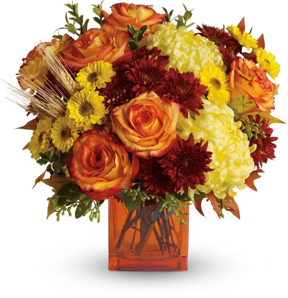 Fall cube EBF-607