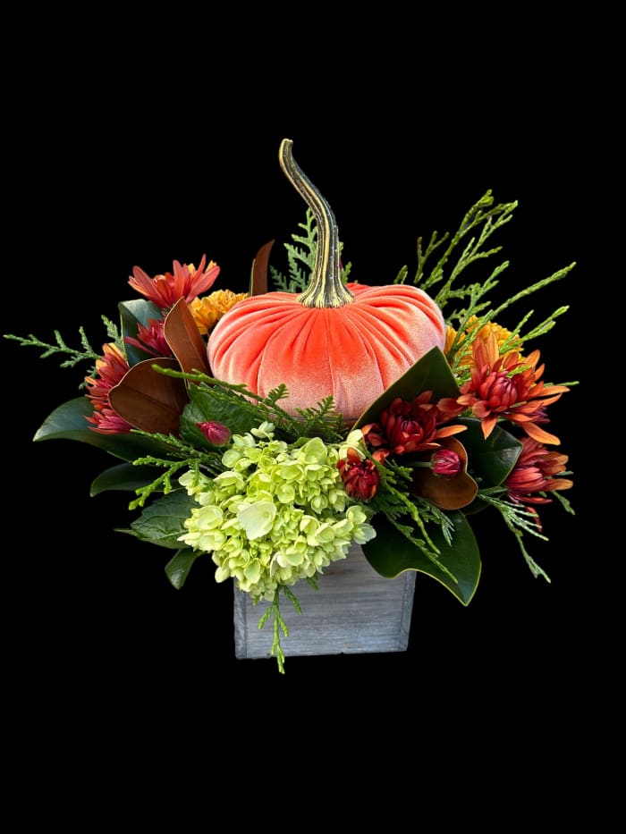 Velvet Pumpkin Fall Box