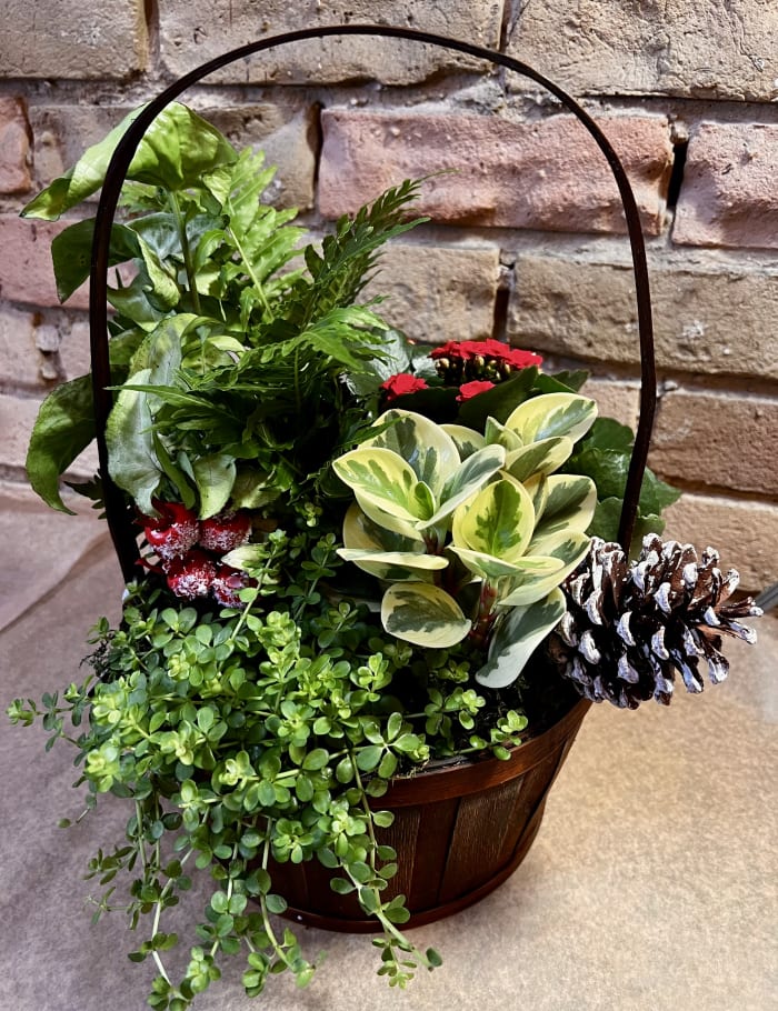 Festive Garden