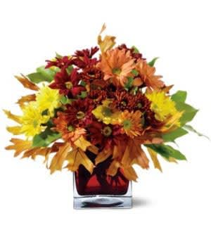 fall blooms EBF-614