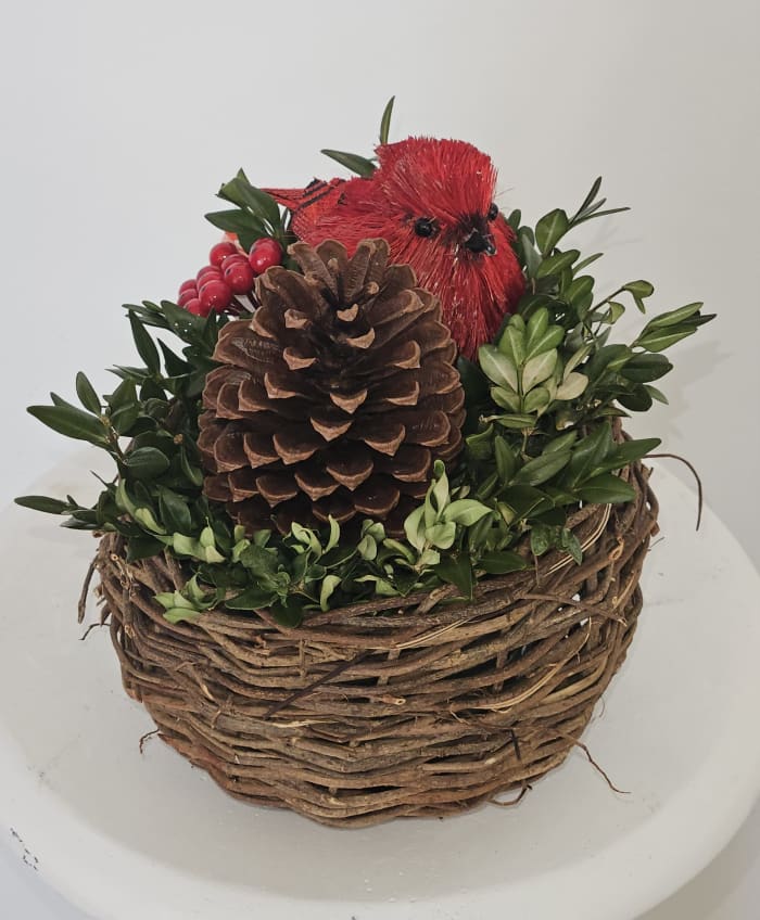 Planter 5"  Birds Nest Basket