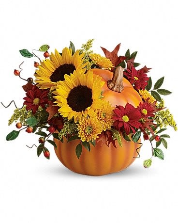 Pumpkin delight EBF-617