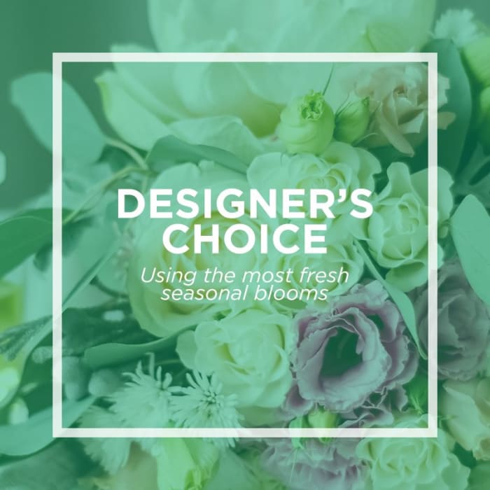 Designer's Choice - Seasonal