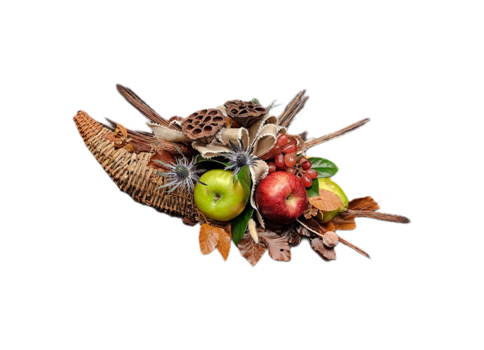 FL-11 Cornucopia con frutas