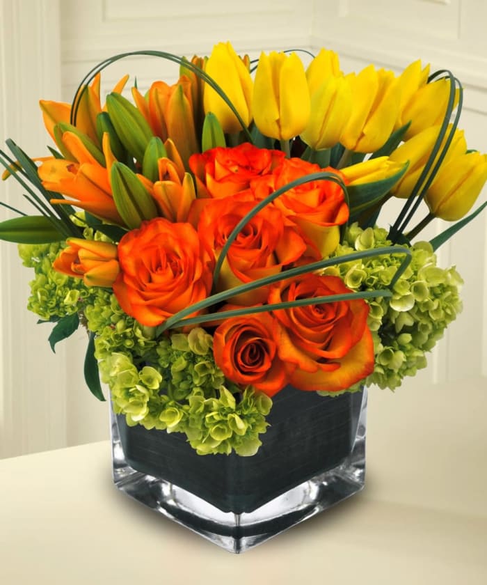 Sunset beauty EBF-620
