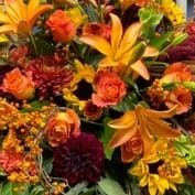 Fall Designer's Choice