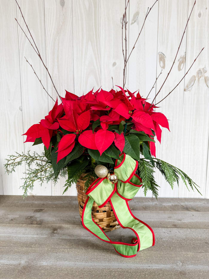8" Poinsettia **SALE$**