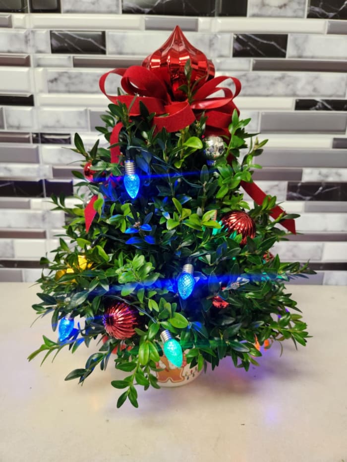 Festive Boxwood Tree
