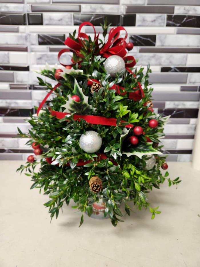 Holiday Boxwood Tree