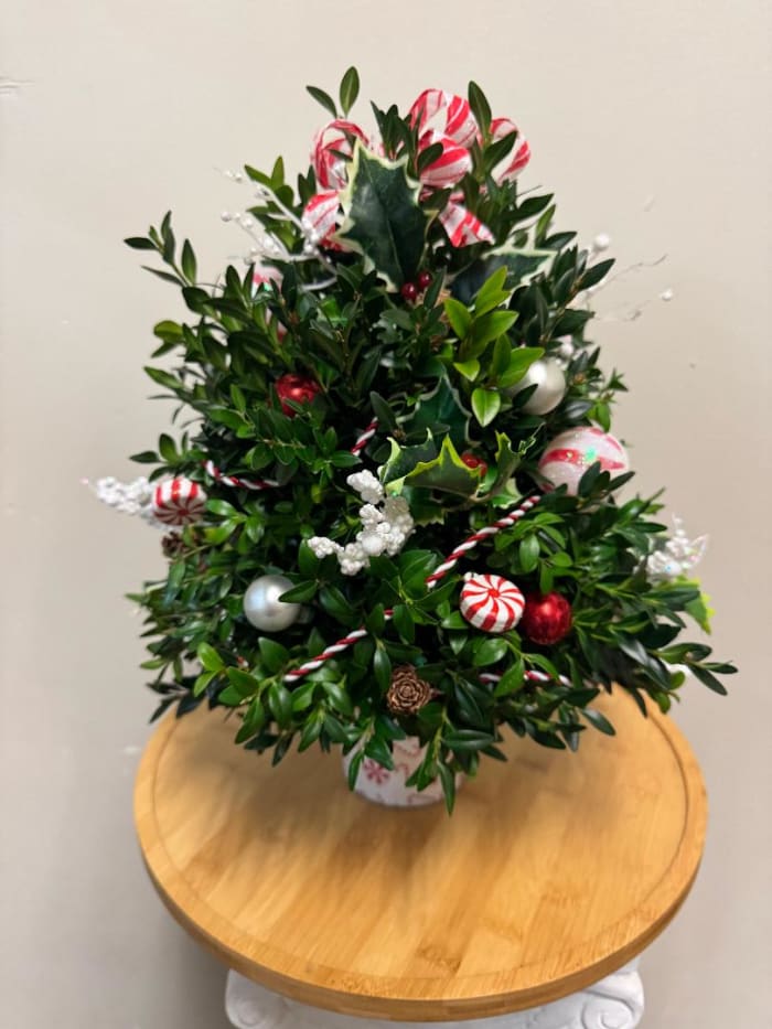 Festive Boxwood Tree (No Lights)