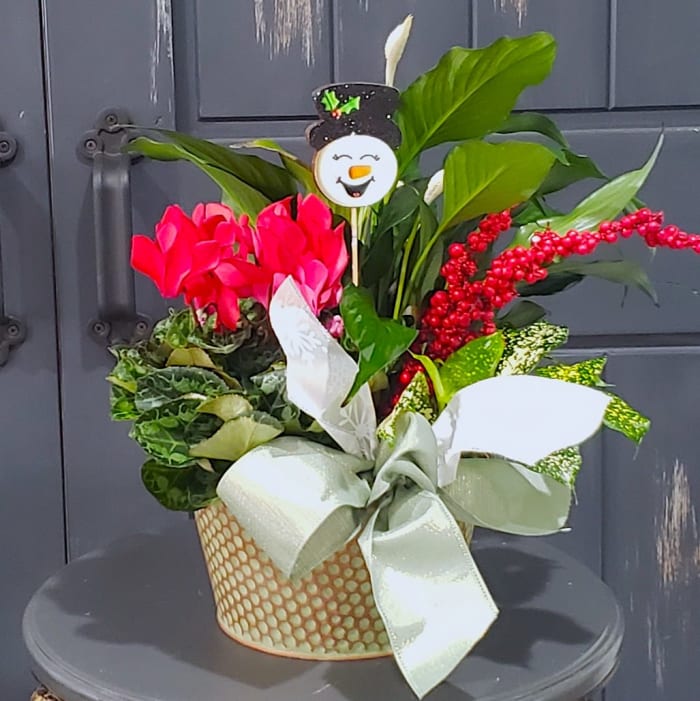 Holiday Spirit Plant Garden