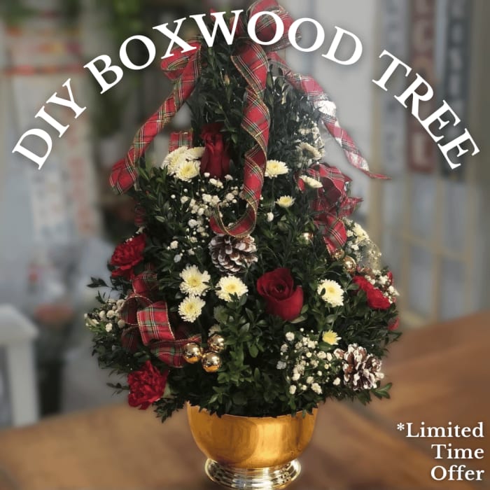 DIY Boxwood Tree w/ Video