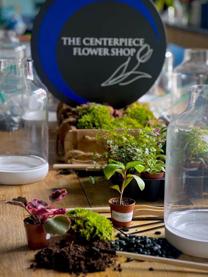 April 19th Plant Care Workshop