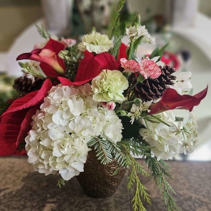 Poinsettia Pleasure