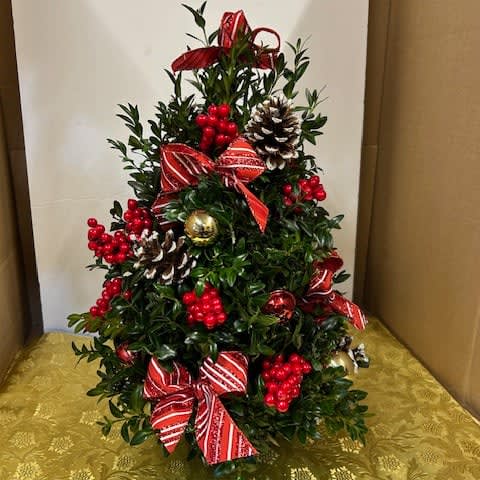 Boxwood Tree
