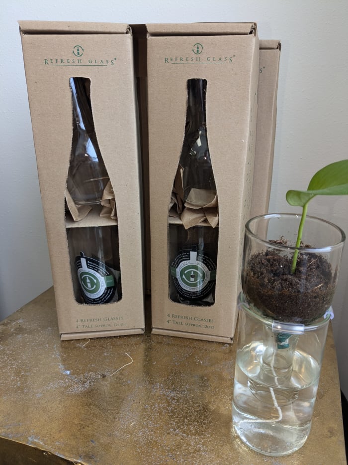 Self Watering Planter