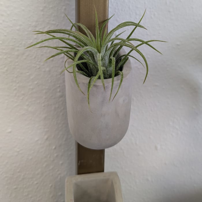 Concrete Air Plant Holder