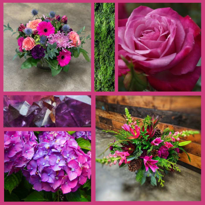 Winter Plum - Winter Flowers Designers Choice