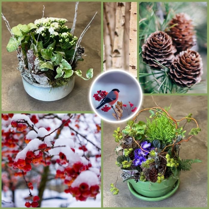 Winter Indoor Planter