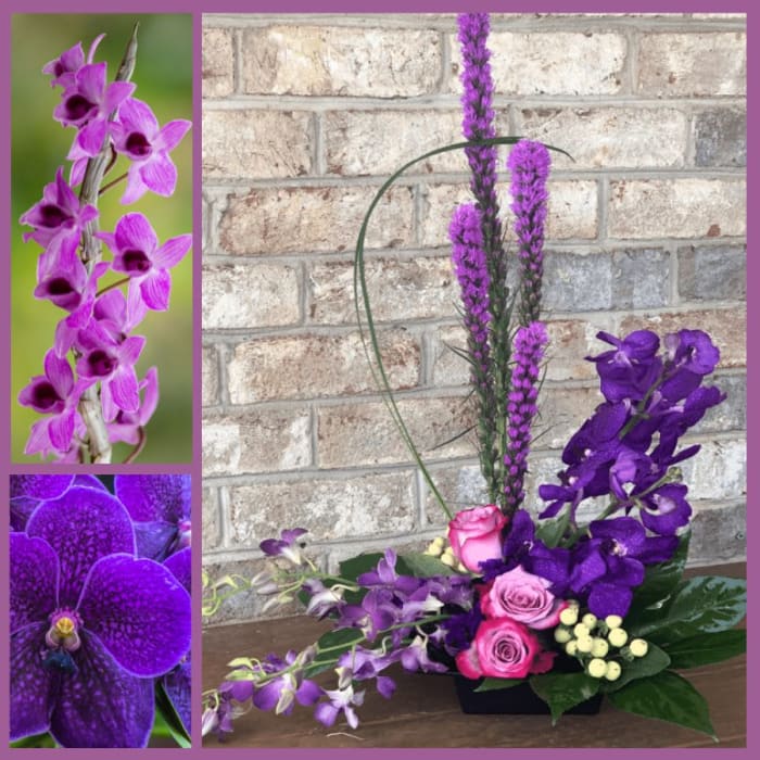 Zen Orchid