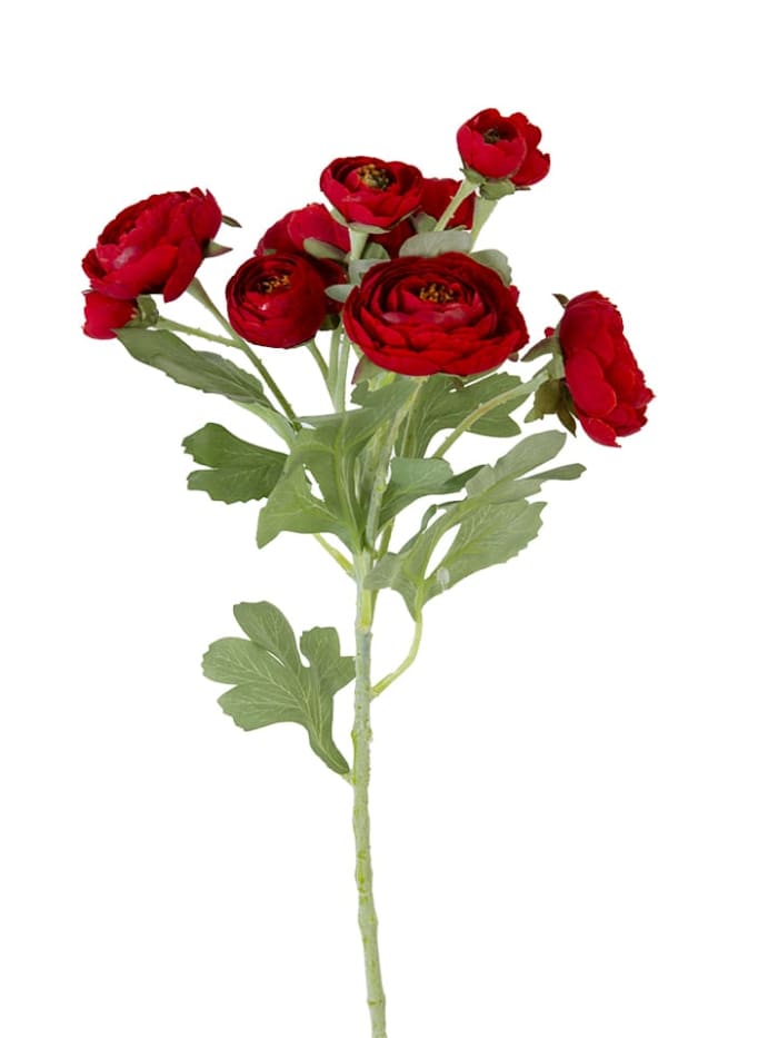 21'' RED RANUNCULUS SPRAY