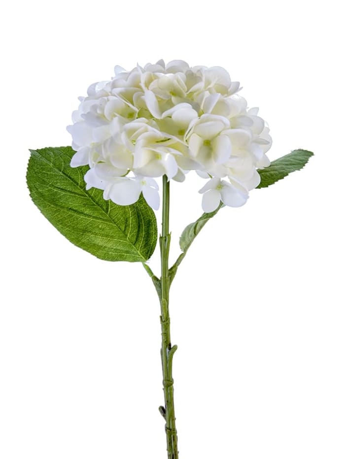 19'' CREAM HYDRANGEA SPRAY