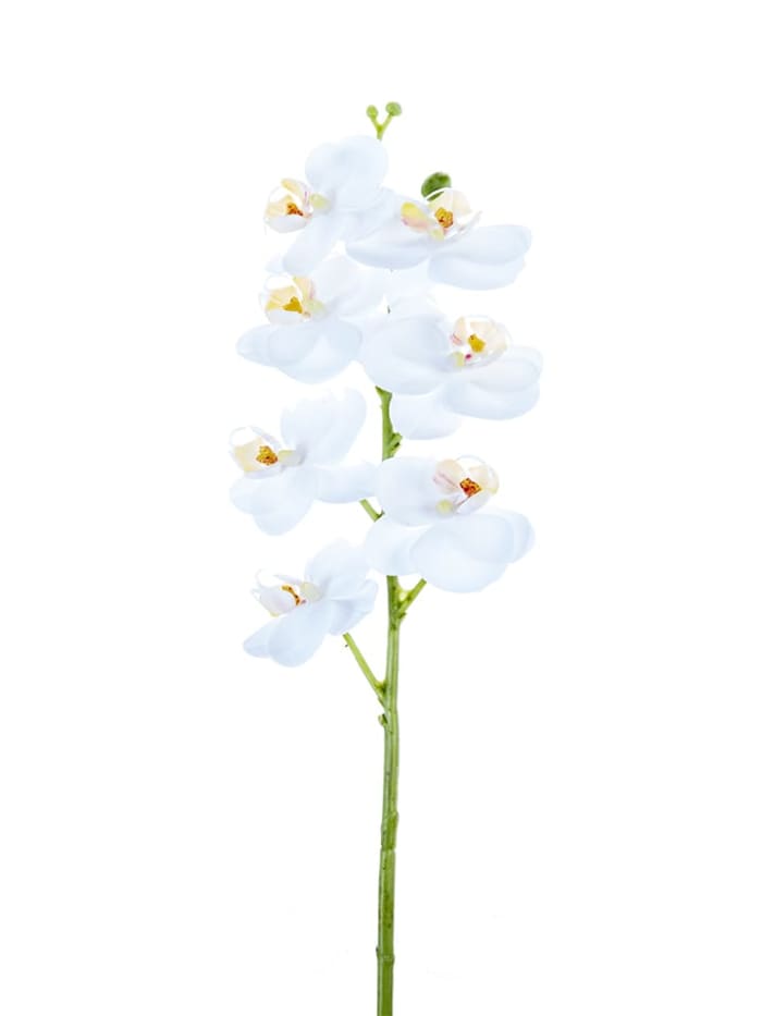 24'' PHALAENOPSIS WHITE ORCHID REAL TOUCH