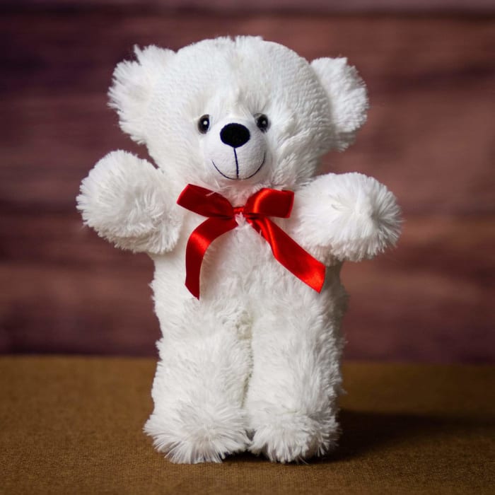 Colorama White Hug Bear 12"