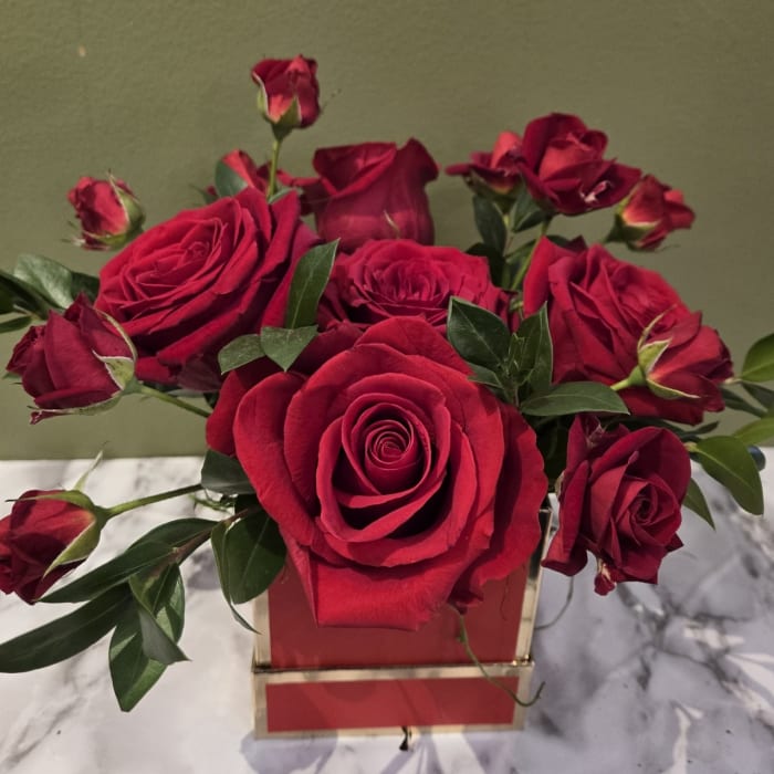 Amore on Special Days