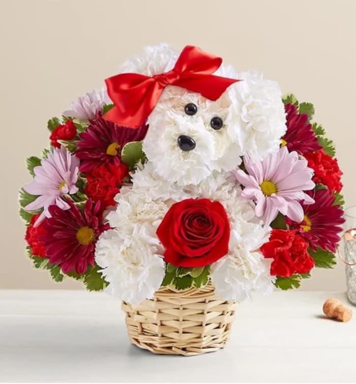 Love Pup