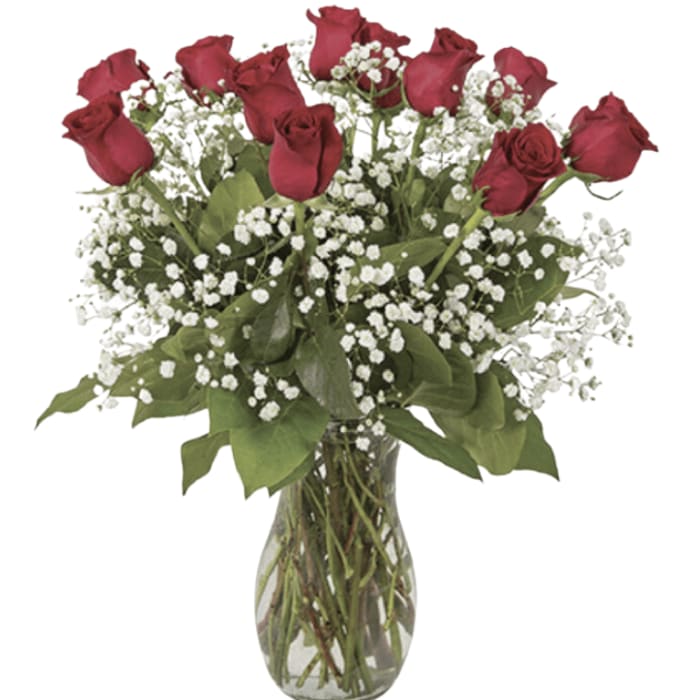 Dozen Roses