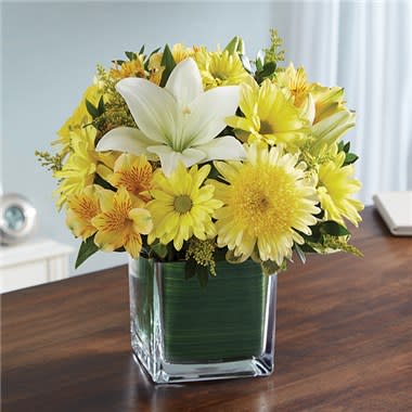 Healing Tears™ Yellow & White