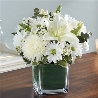 Healing Tears™ All White