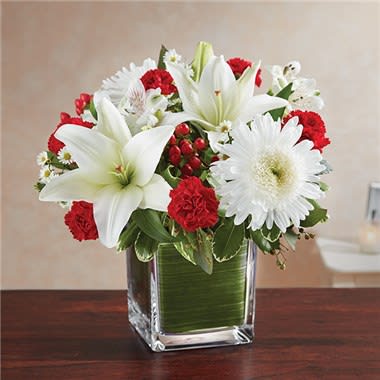 Healing Tears™ Red & White