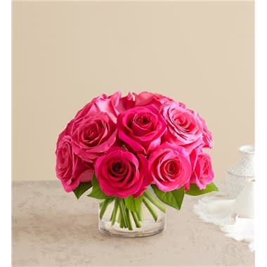 Contemporary Hot Pink Roses