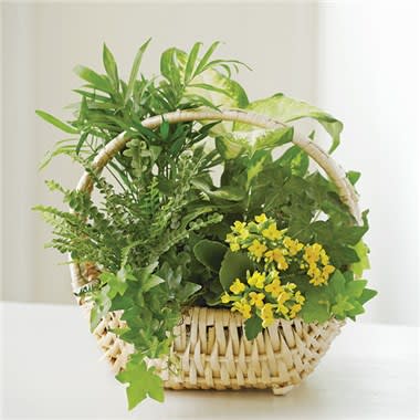 European Dish Garden