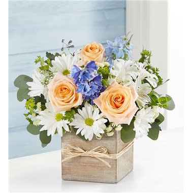 Coastal Breeze For Dad