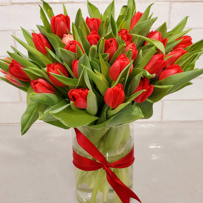Radiantly Red Tulips