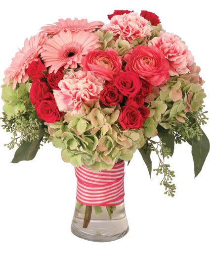 Plush Pink Posy