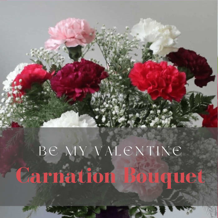 BE MY VALENTINE - CARNATIONS