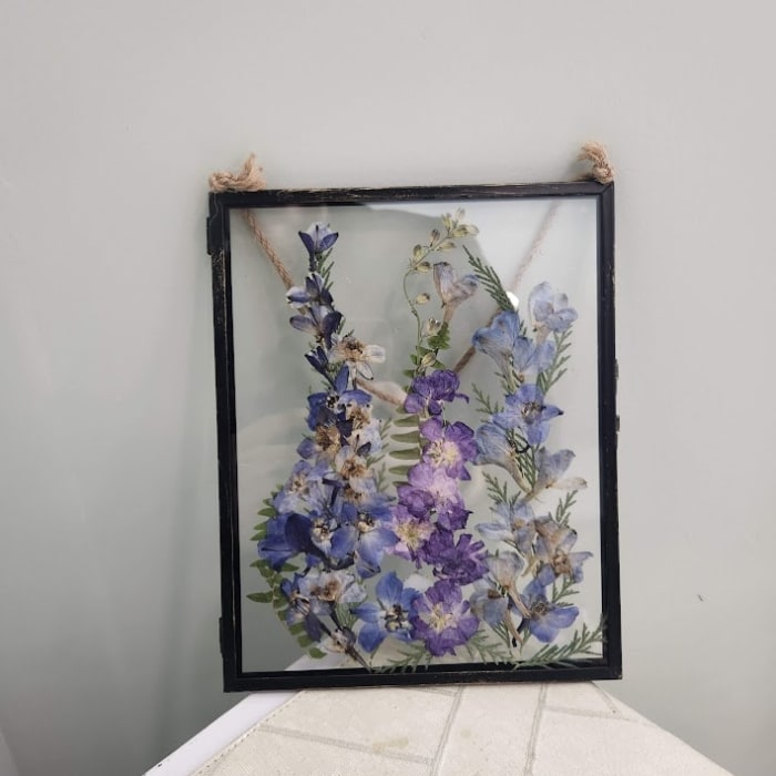Spring Snapshot