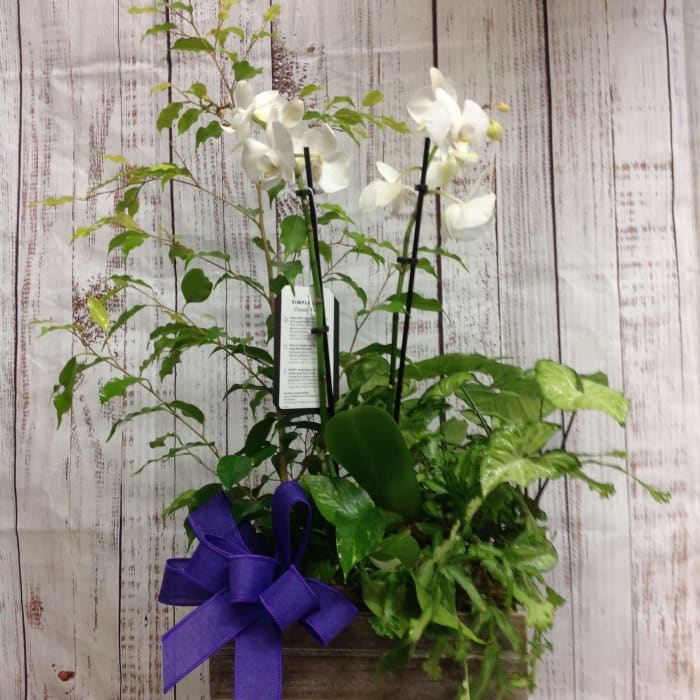 Blooming Box