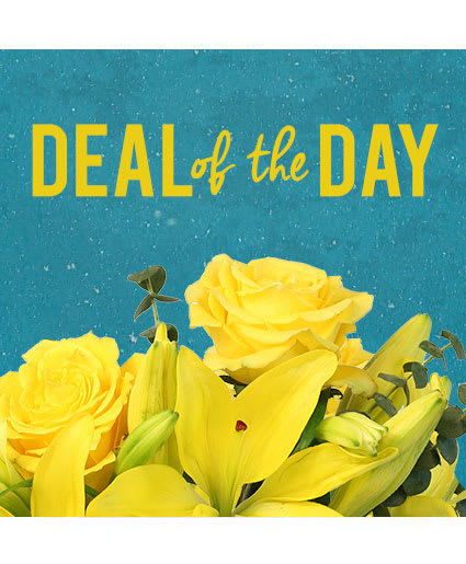 DEAL OF THE DAY DESIGNER'S CHOICE