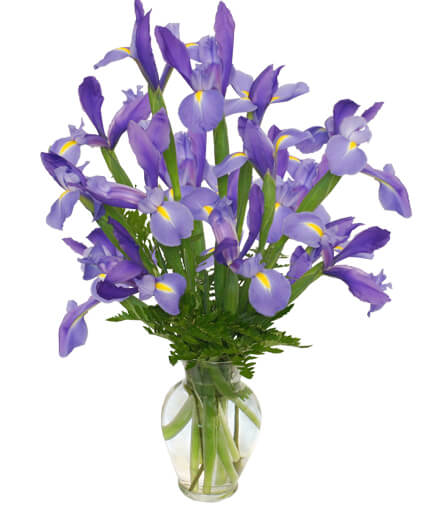 RAMO DE LIRIOS AZULES ARREGLO FLORAL